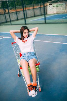 俄罗斯引擎YANDEX进入